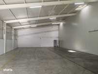 Hala industriala, 425mp, Carcea, zona Ford