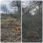 Defrișare , curățare terenuri /demolări/debarasari/construcții garduri
