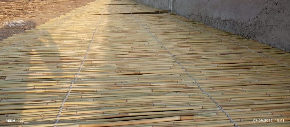 Камыс ши бар ...