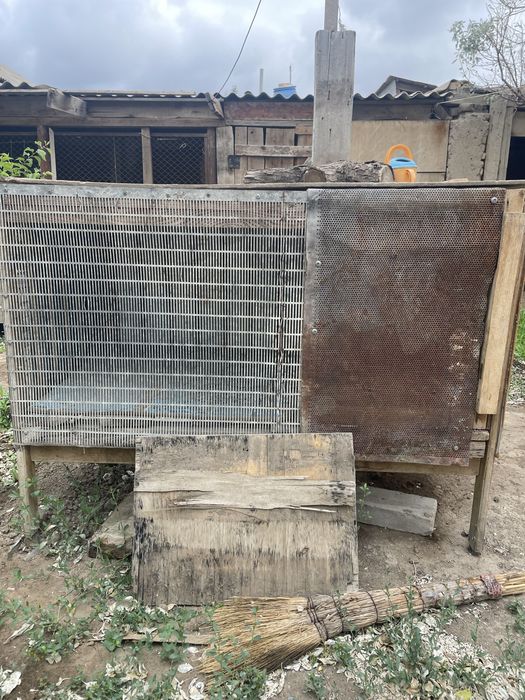 Брудер сатылады...