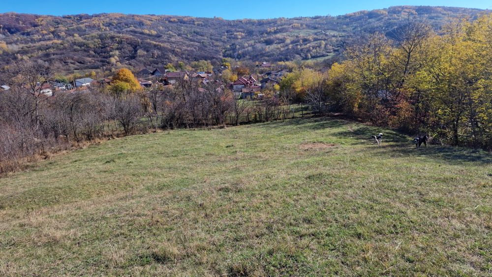 Vând teren intravilan 8000 m²