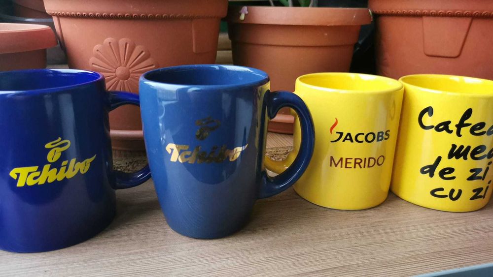 Cani cu mesaje pentru familie, prieteni, fantezie si perne decorative