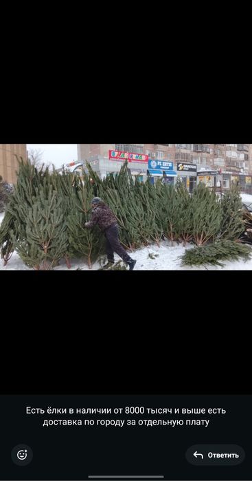 Продам ёлки хорошие пушистые