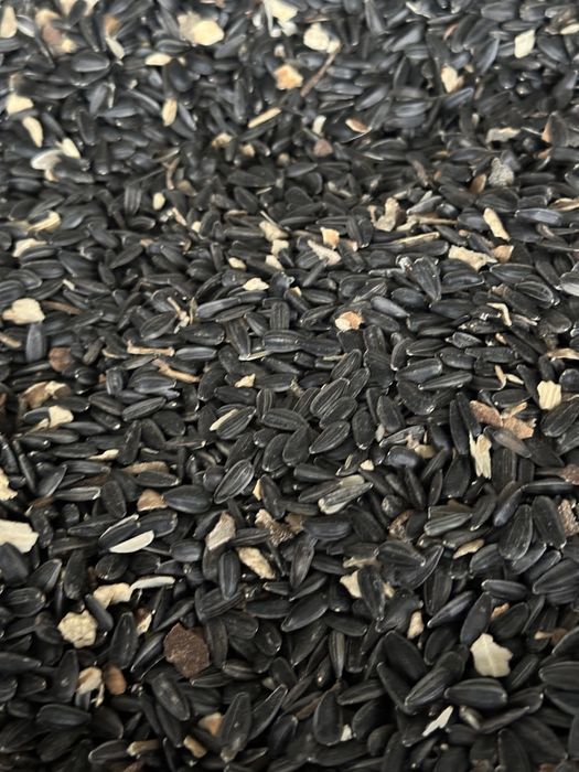 Floarea soarelui productie 2025