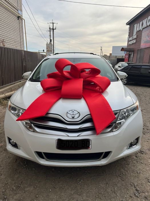 На прокат метровый Бант на автомобиль подарочный (бантик)
