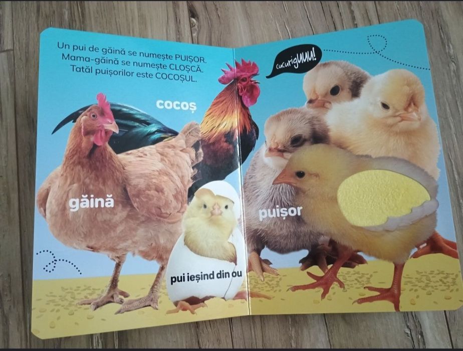 Carte cartonata bebeluși Atinge și Invata