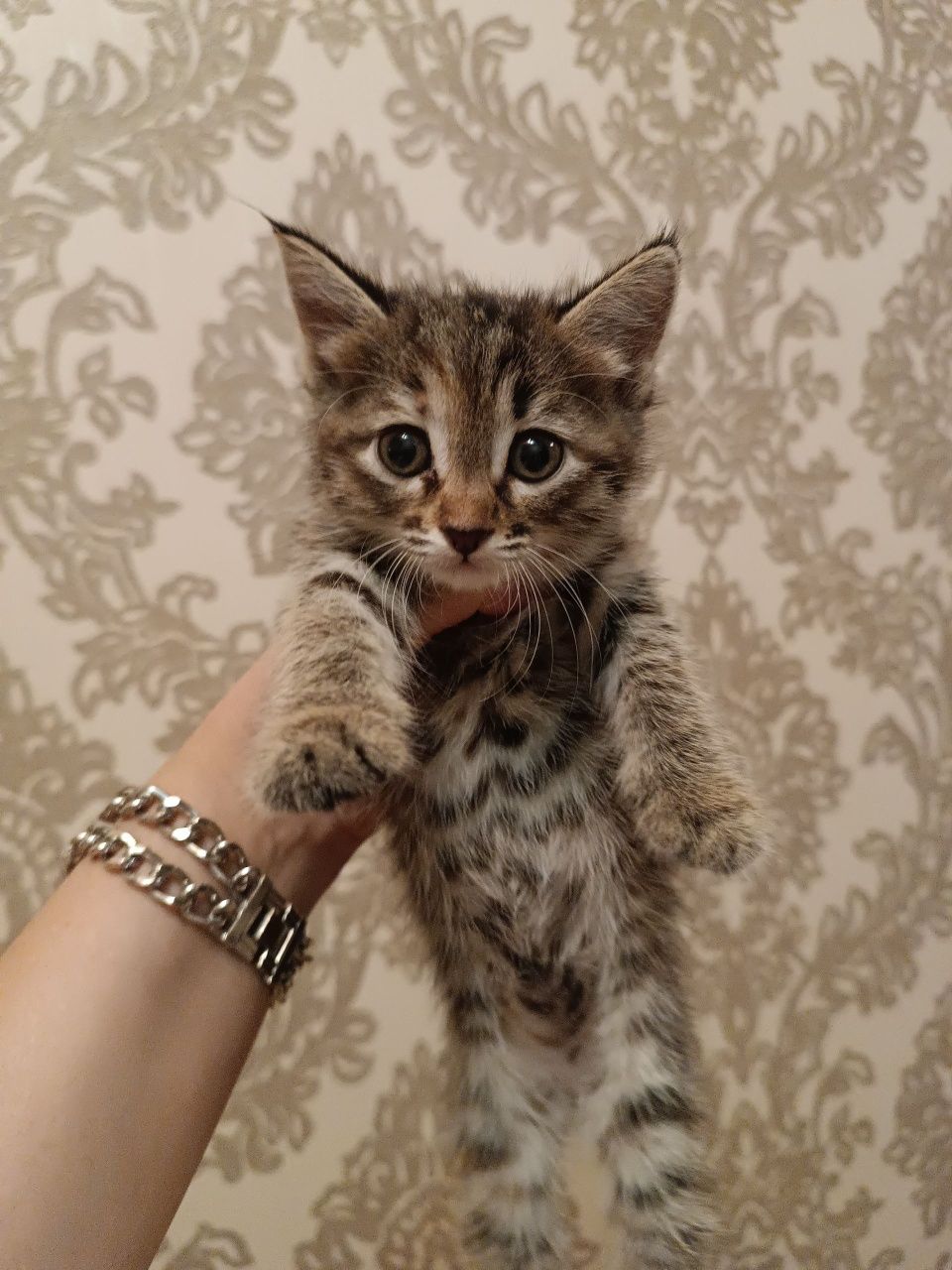 Только в ответственные руки!