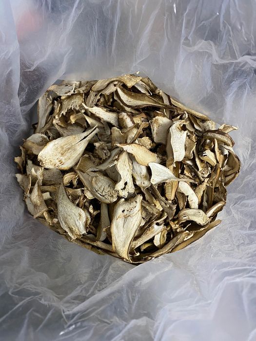 Vand hribi Uscati de toamna