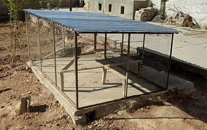 Катак товуклар учун