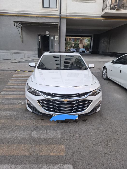 Malibu primer 2021