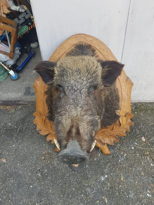 Vand mistret impaiat