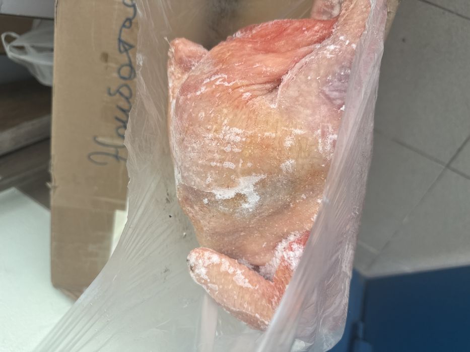 Продам курей домашних, бройлерных в любом колличестве, по оптовой цене