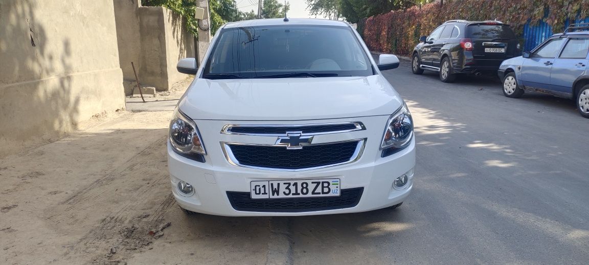 Cobalt 2019 kapot krilo kraska