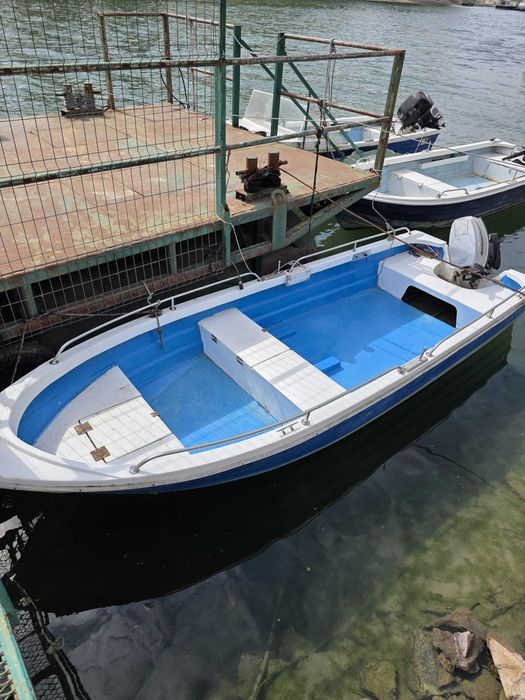 Barcă TEMERAR 460 cu motor Mariner 30 CP în 2 timpi
