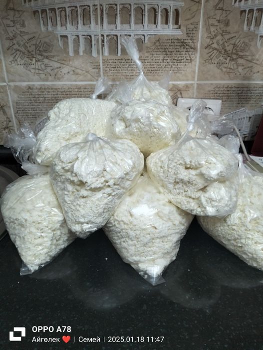 Продам домашний творог, чистый свежый без запаха.