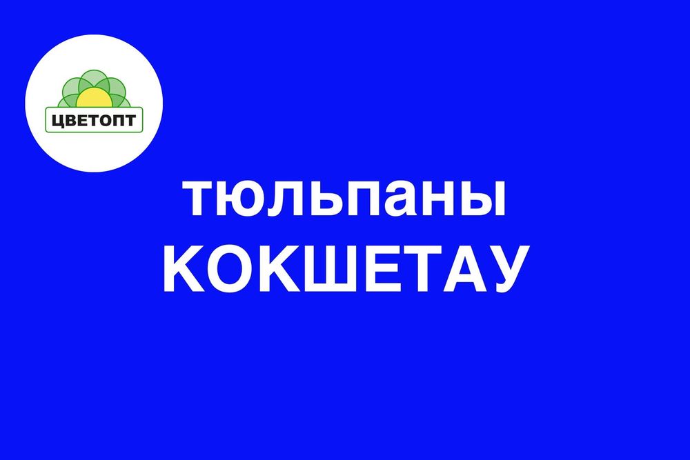 Тюльпаны оптом Кокшетау