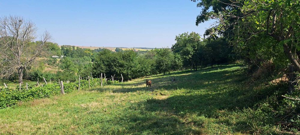 Teren intravilan 2.370 mp, Hlapesti, Jud. Neamt, utilități la poartă.