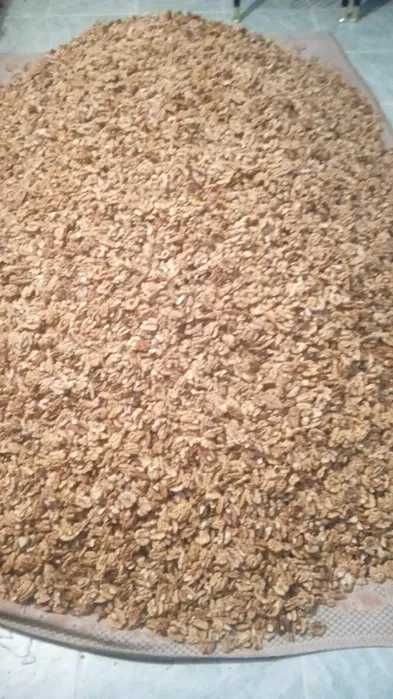 Vând miez de nuca 2025