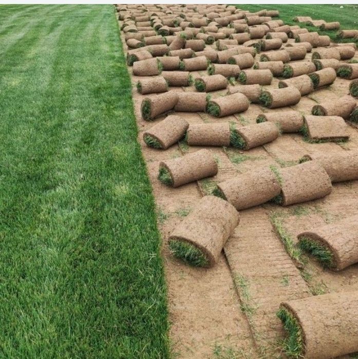 Газон экиш хизмати,