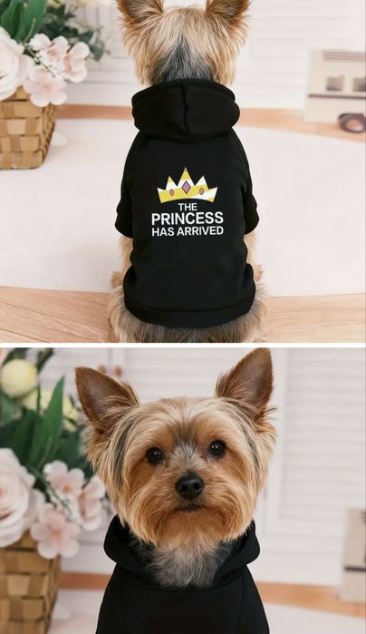 Модерни дрехи за кучета: Суичъри (Худита) с надписи, Пуловер (S, M)