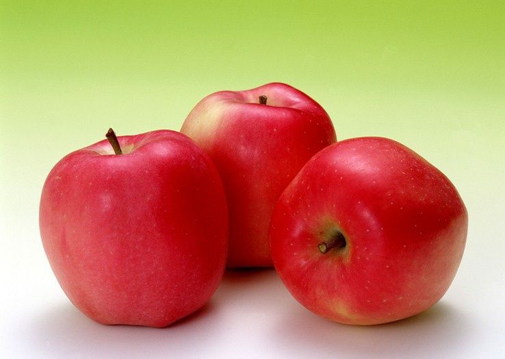 Pomi Fructiferi deosebiti  mar red melba