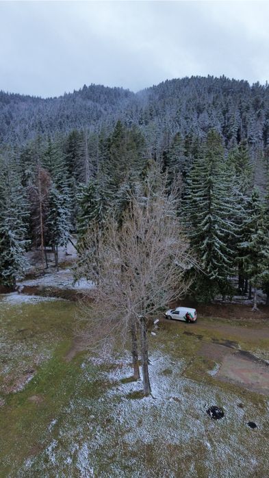 Teren intravilan de vanzare !!!