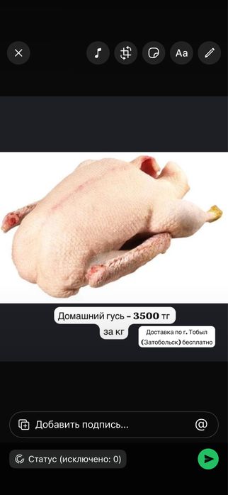 Домашние гуси жирные вкусные