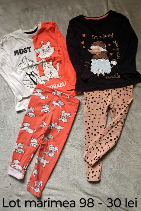 Set bluze si pantaloni fetita