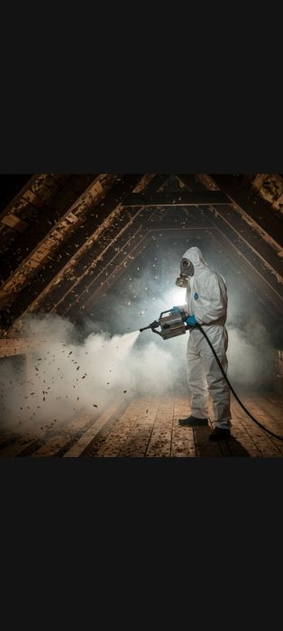 Дезинфекция Дезинсекция Дератизация