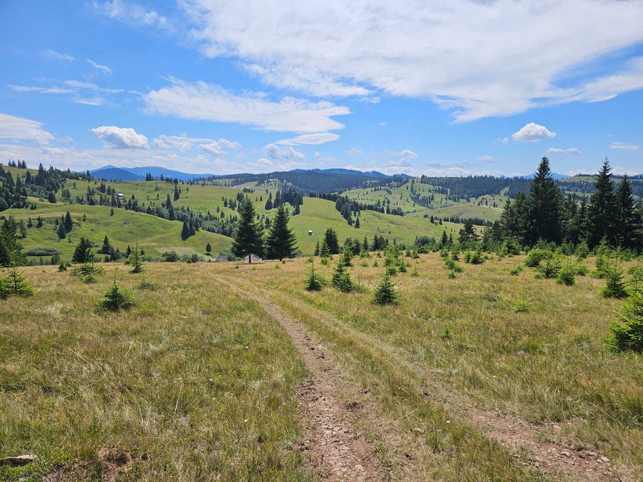 Proprietate de vanzare 92.554.mp ( 9.25 ha) in Bucovina zona Breaza