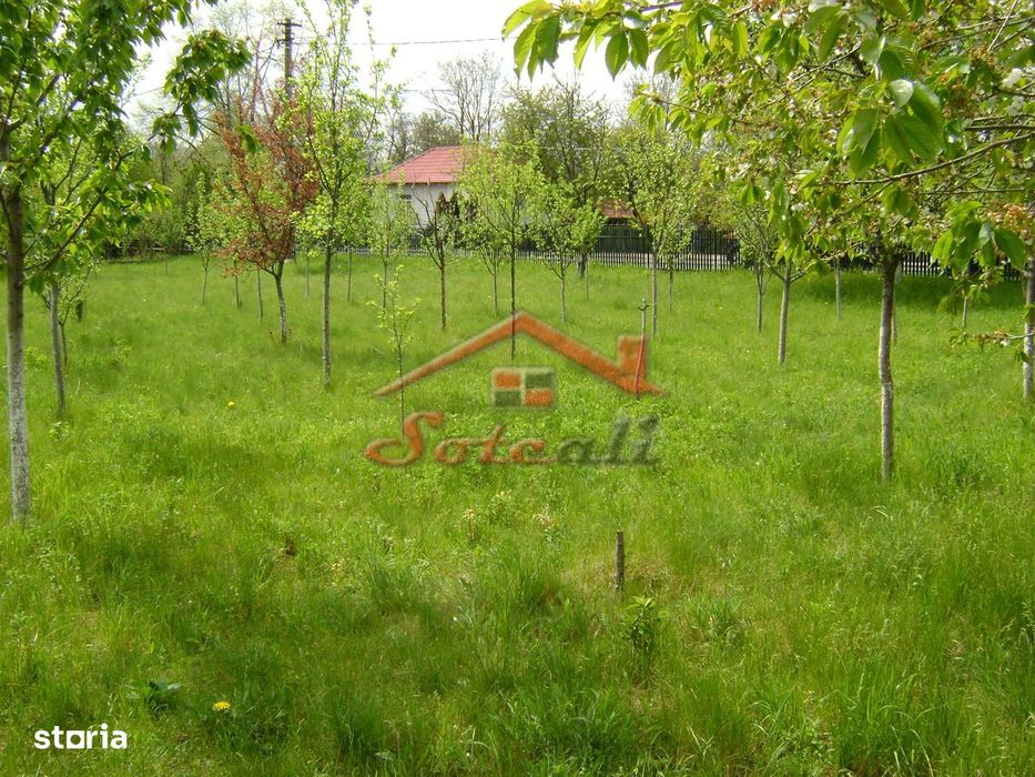 Teren de vanzare in Cornu 1183 mp