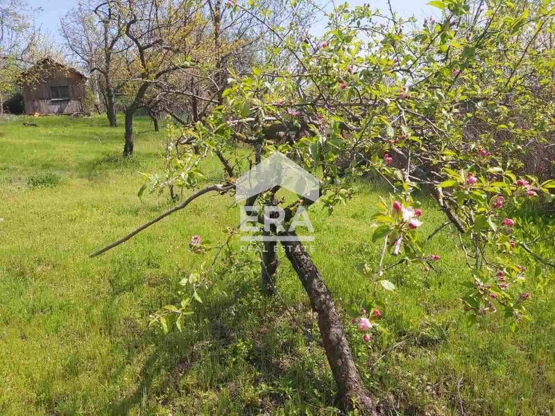 Продава се Парцел в Варна, м-т Боровец - юг - 1236 кв.м за 37 €/кв.м - Снимка #2