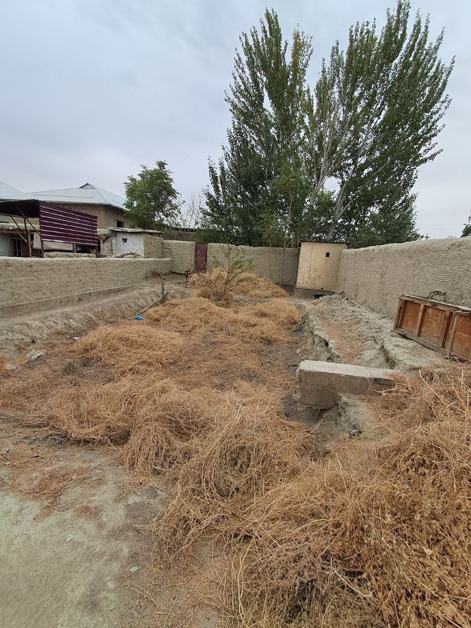 Hovli 4 sotixlik