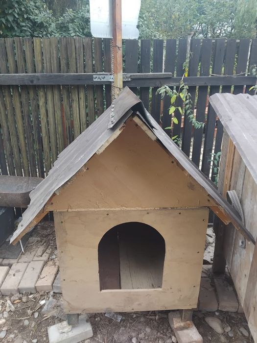 Cușcă iepuri,cușcă de caini