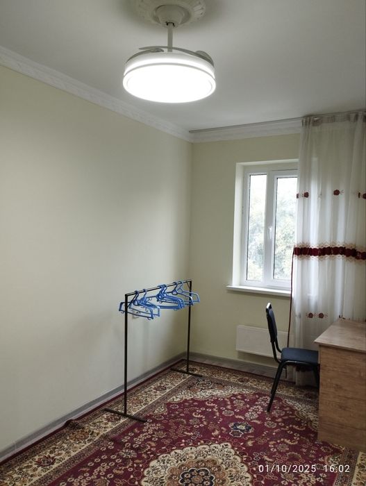 Algoritm 31-kvartalda, sheriklikka o'g'il bollarga