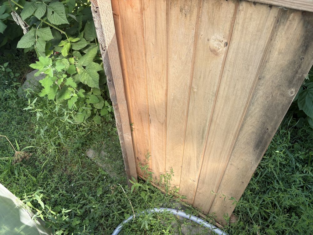 Cușcă de câini nefolosită, a prins pânză de spider man