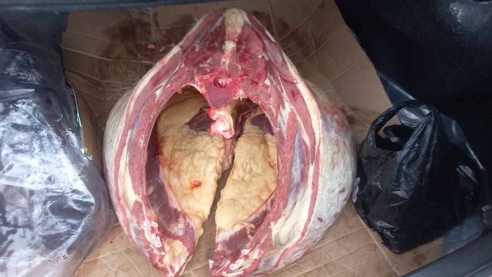 Баянаулский мясо