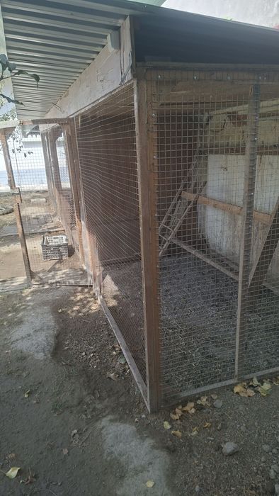 Продам большой вальер для цыплят