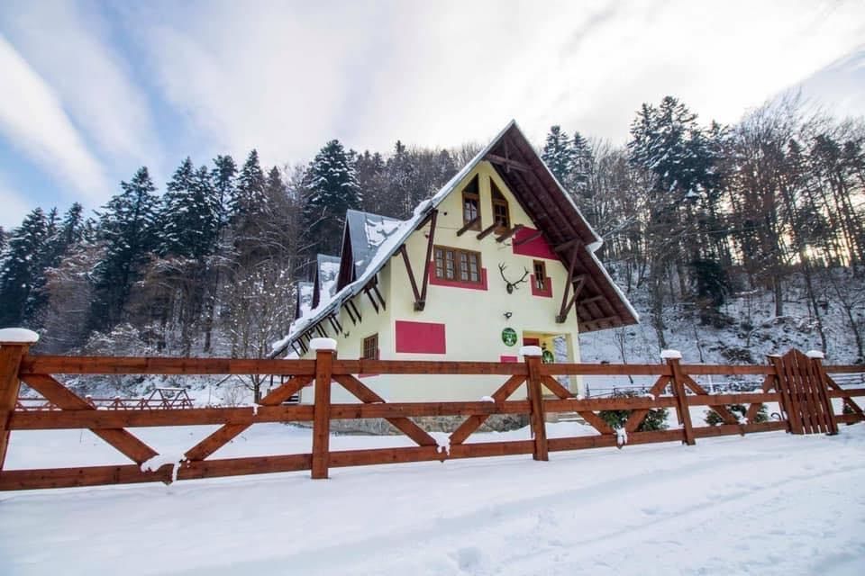 Cabana Negulesti Craciun 2025