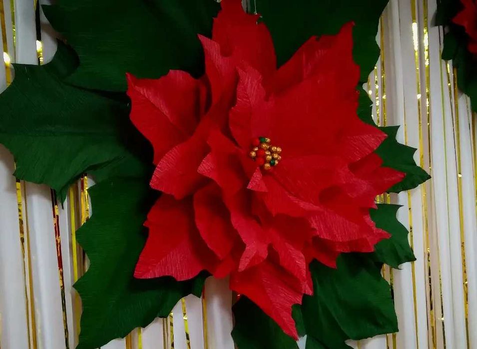 Новы год.  Фотозона. Цветы.