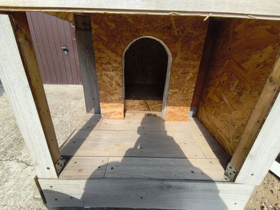 Cusca de caini izolat