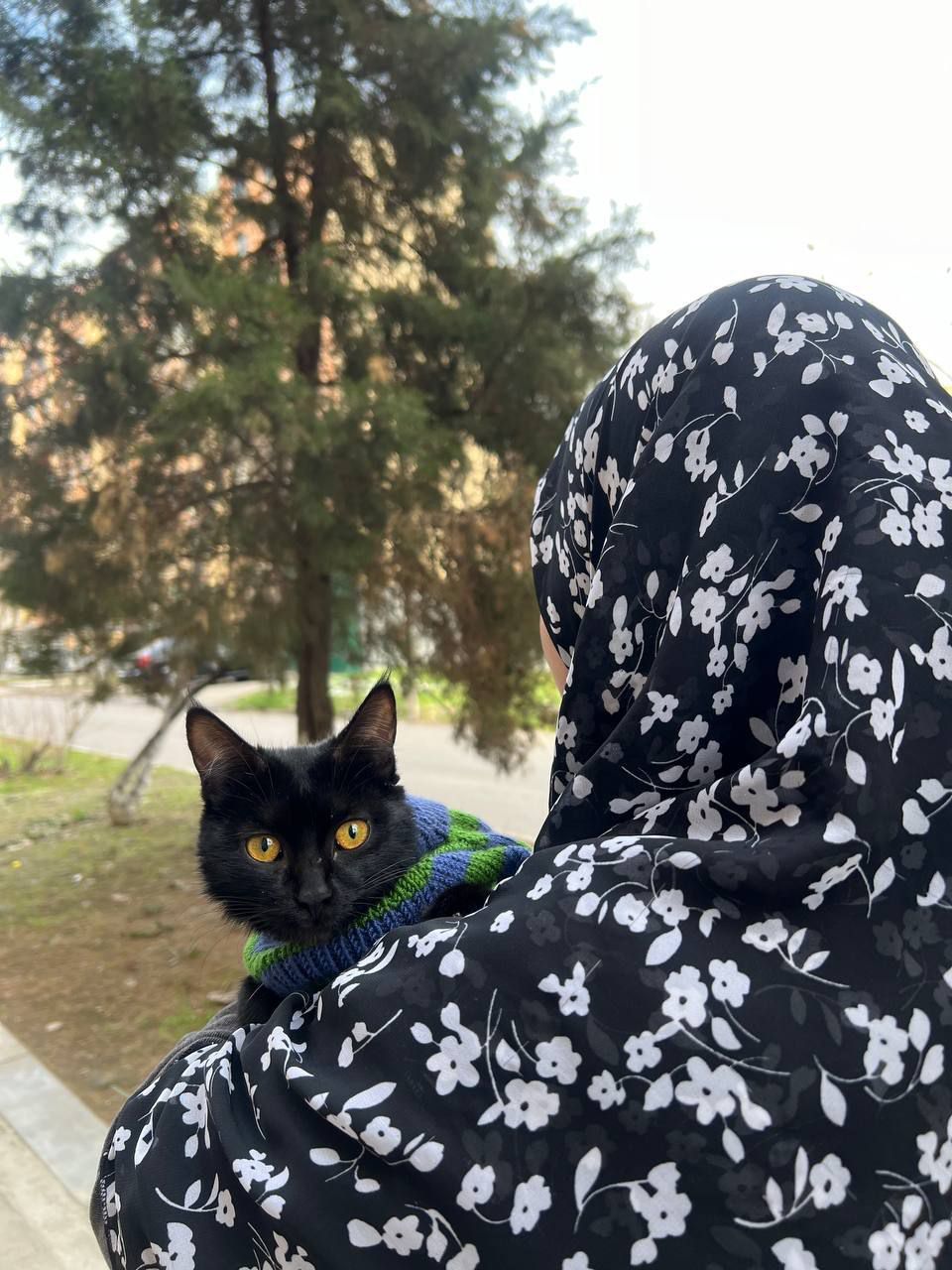 Mushuk va idishlari bilan.