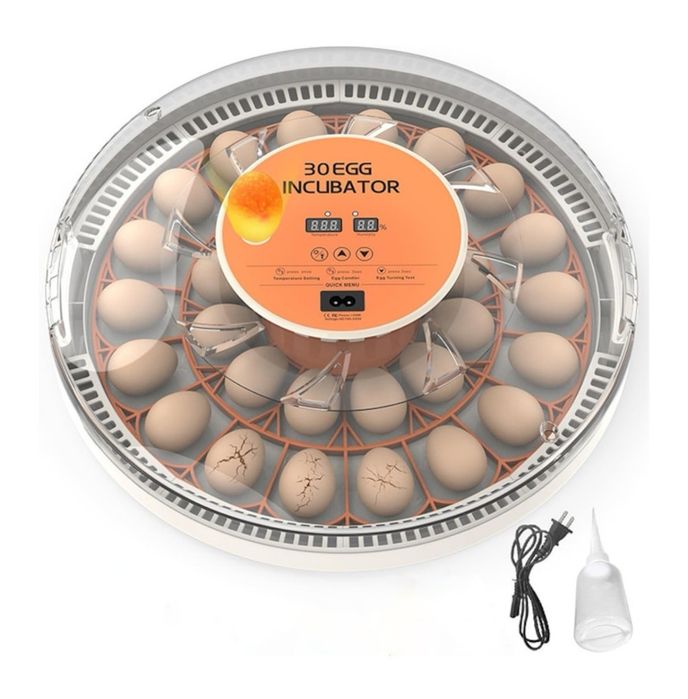 Инкубатор за яйца 30 яйца, Автоматично регулиране на температа