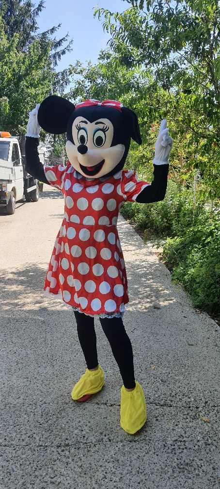 Costume Mickey și Minnie
