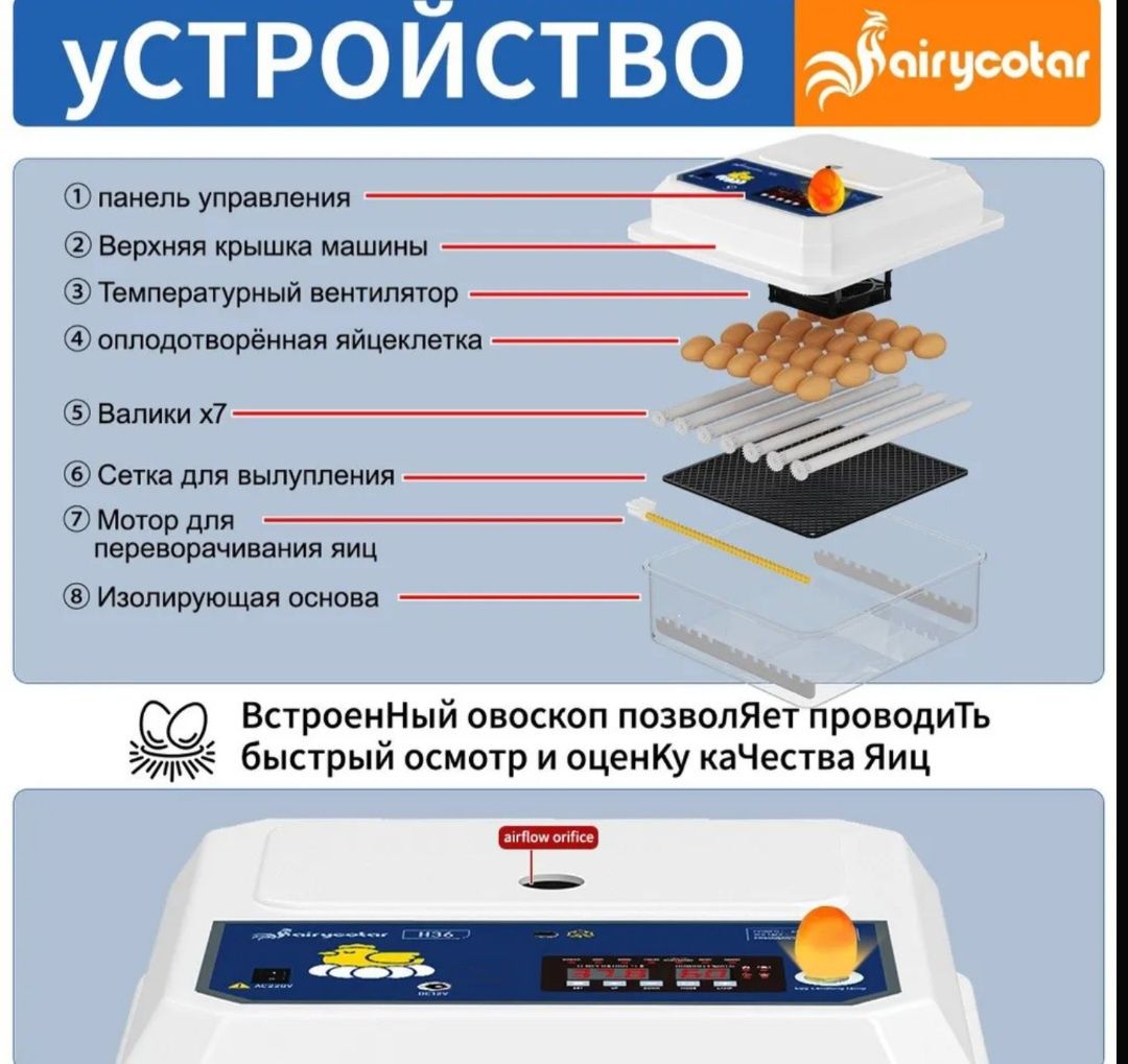 Инкубатор, два типа питания АС220V 12V /  DC 12V