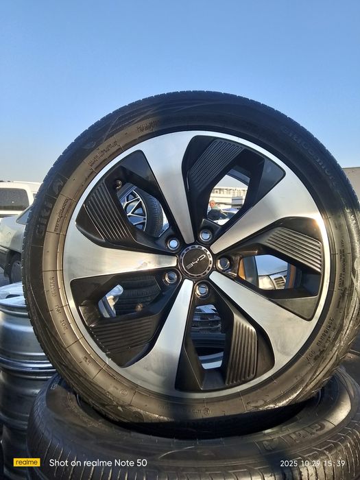 R19 byd Champion diska balon