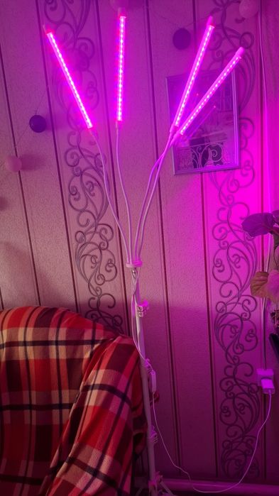 Фитолампа отличная