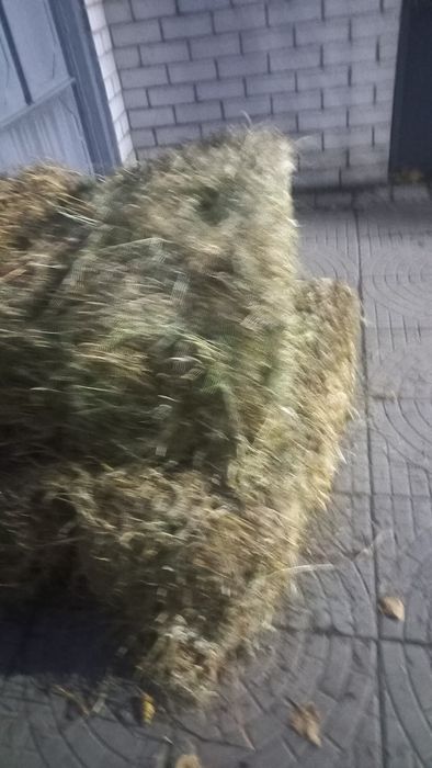 Продам Сено в тюках