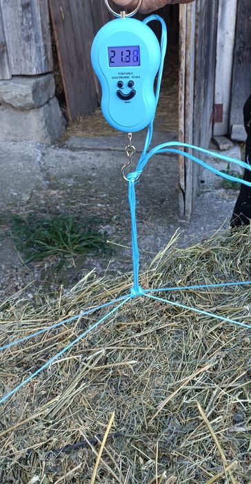 Vând baloți de lucernă