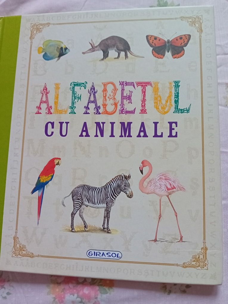 4 carti girasol alfabetul culorile contrariile numerele cu animale